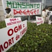 monsanto