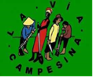 Latin American Coordination of Rural Organizations (CLOC), members of La Via Campesina, sends a message of solidarity to the people of El Salvador, and we condemn the violation of the constitutional order and the attempt to build a new dictatorship in this country that for many years has built social stability.   We have observed with concern that the government of El Salvador through President Nayib Bukele presents an authoritarian and anti-democratic machinery in a brother country that suffered many years of violence and war, which affects social stability and tramples on freedom of expression by moving towards a dictatorship.  The attempted coup to the legislative power carried out this Sunday, February 9, 2020 in the end did not advance but left an order, that in one week the legislative power make an authoritative, military-controlled decision.   We call on the international community to show solidarity with the people's struggle against a misogynist and manipulative government with a dictatorial and neo-fascist tendency, making use of its millennial conduct on social networks.  It is repugnant in a country that is still emerging from the impacts of the war of the 80s to hear the president call for insurrection accompanied by the Armed Forces from the blue room of the legislative branch. This is an act that violates the constitutional order, social peace and harmony of any country.  As a peasant movement, we demand respect for constitutional order and we ask the President of the Republic to resume public policies that improve the living conditions of those who produce food in the country and to guarantee that there is stability in the countryside to prevent human migration to other countries.  This gradually-built regime does not deserve to lower its guard with social mobilization. It is time to return to the dialogue between the powers of the state and to solve the problems of better tax legislation; to solve the water problem, the basic problems consigned and approved by the United Nations called the Susta