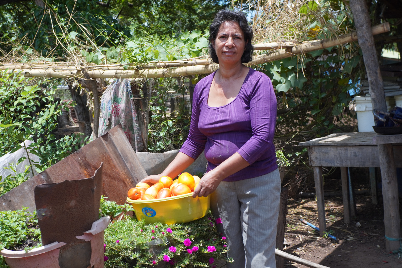 Soberanía Alimentaria Con Base En La Agroecología Cloc Vía Campesina