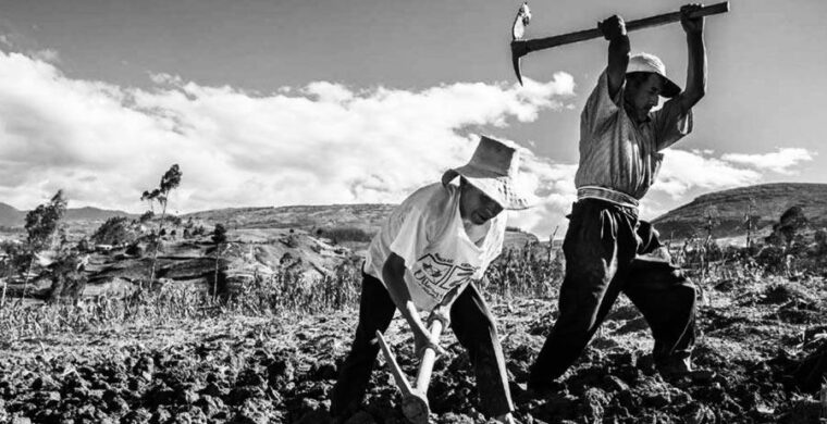 Organizaciones campesinas y de agricultorxs de Europa y Sudamérica se unen contra el Tratado de Libre Comercio UE-MERCOSUR