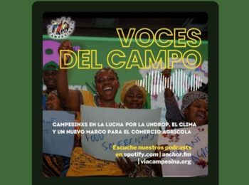 Voces del Campo: Campesinxs en la lucha por la UNDROP, el clima y un nuevo marco para el comercio agrícola mundial.