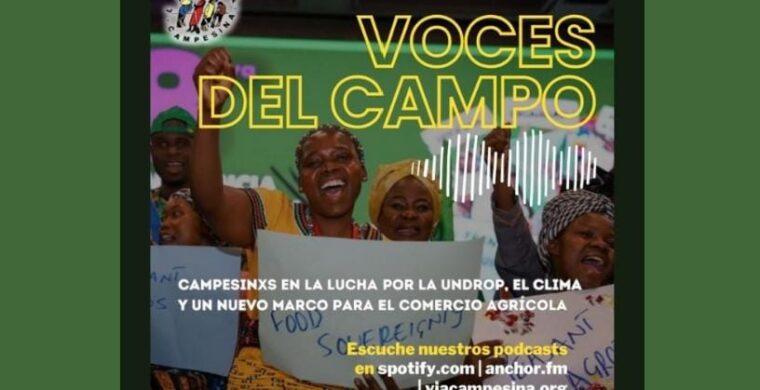Voces del Campo: Campesinxs en la lucha por la UNDROP, el clima y un nuevo marco para el comercio agrícola mundial.