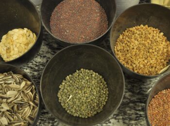 CLOC expresses solidarity with UAWC in response to attack on its seed bank