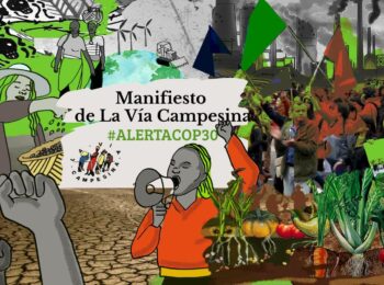 COP 30: Manifiesto de La Vía Campesina – ¡Tierra y derechos para quienes enfrían el planeta!