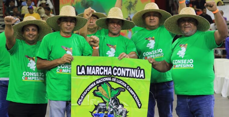 Venezuela: La Vía Campesina condena las amenazas de intervención extranjera y exige el respeto a su libre determinación 