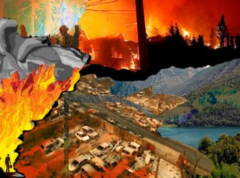 El fuego del saqueo: denuncia urgente por los incendios en Biobío y la Patagonia