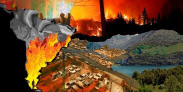 El fuego del saqueo: denuncia urgente por los incendios en Biobío y la Patagonia