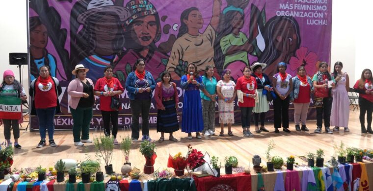 Declaración Política: VII Asamblea Continental de Mujeres del Campo CLOC-Vía Campesina
