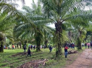 Comunicado de la Región Mesoamérica de la CLOC – La Vía Campesina ante la masacre ocurrida en Colón, Honduras.
