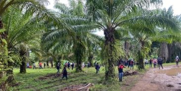 Comunicado de la Región Mesoamérica de la CLOC – La Vía Campesina ante la masacre ocurrida en Colón, Honduras.