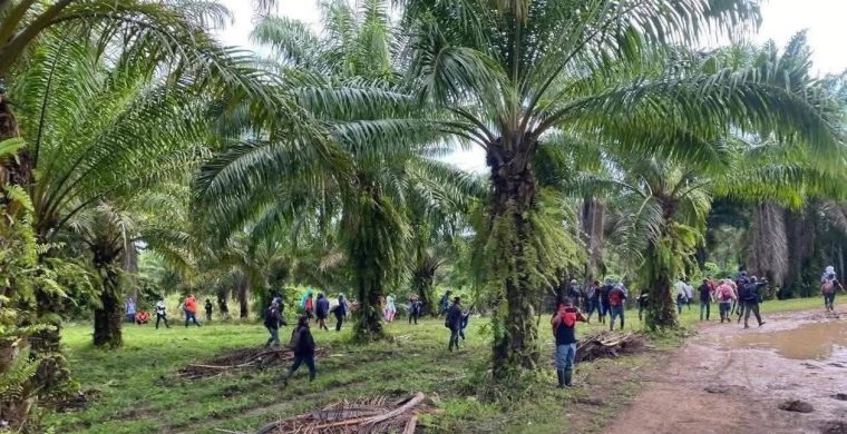 Comunicado de la Región Mesoamérica de la CLOC – La Vía Campesina ante la masacre ocurrida en Colón, Honduras.