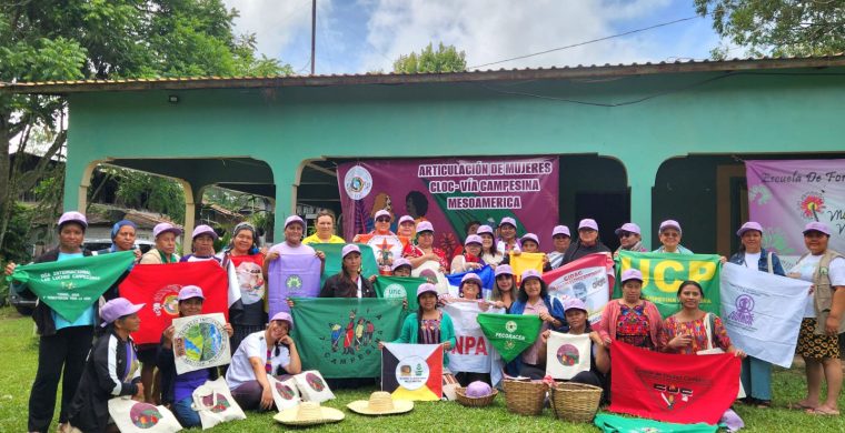 DECLARACION I: ENCUENTRO MESOAMERICANO FEMINISMO CAMPESINO Y POPULAR Y LA LUCHA DE LAS MUJERES INDIGENAS ARTICULACION DE MUJERES – (CLOC – VIA CAMPESINA MESOAMERICA)