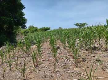 Retos y propuestas para prevenir desastres en El Salvador frente a la nueva realidad climática